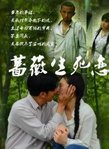 蔷薇生死恋电影完整版在线观看,穿越时空的永恒之恋 第3张 蔷薇生死恋电影完整版在线观看,穿越时空的永恒之恋 第3张